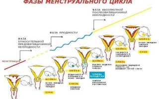 Что может вызывать боль в животе как перед месячными в середине цикла