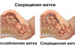Какой живот считается нормой на всех сроках беременности: мягкий или твердый