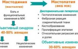 Болят соски после овуляции, почему болят во время овуляции?