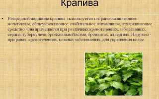 Как можно улучшить кровоток в матке при планировании беременности и перед переносом эмбрионов для ЭКО?