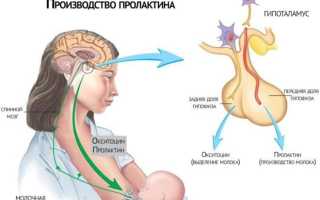 Гипопролактинемия у женщин: главные причины, первые признаки, методы лечения