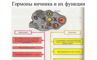 Какие средства используют для устранения сухости в интимной зоне при климаксе