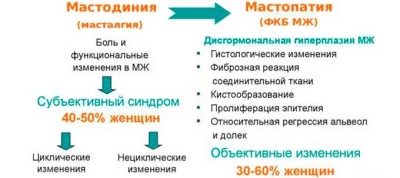 Налилась и болит грудь после овуляции