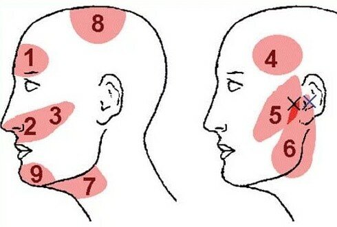 Почему весь день болит голова виски