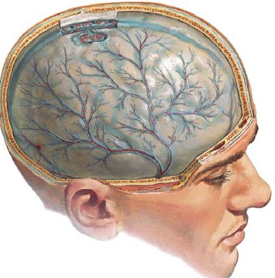 Когда болит спина и температура воды