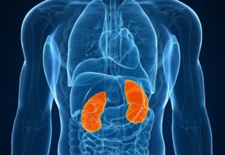 Болит спина утром и вечером