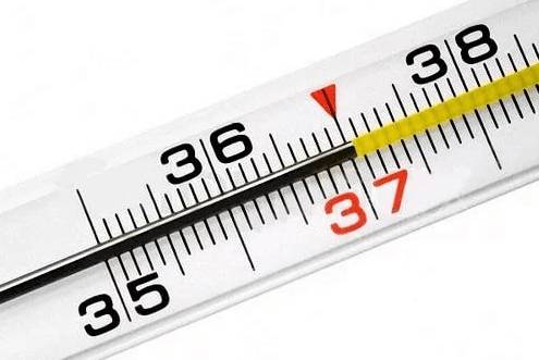 37 температура