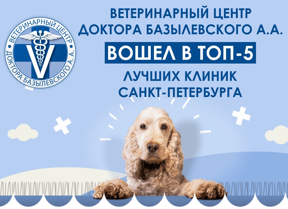 Рейтинг клиник гинекологии в Санкт-Петербурге — топ-10 лучших медцентров